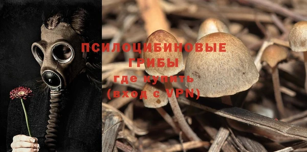крисы Алексин