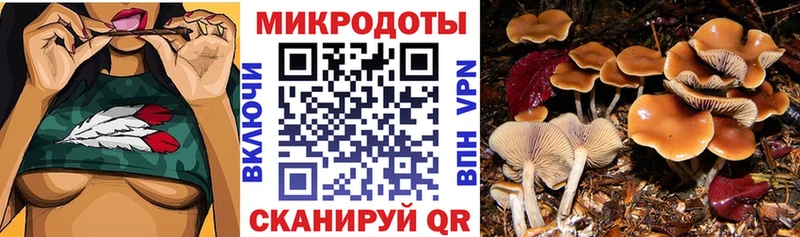 Галлюциногенные грибы ЛСД Нестеров
